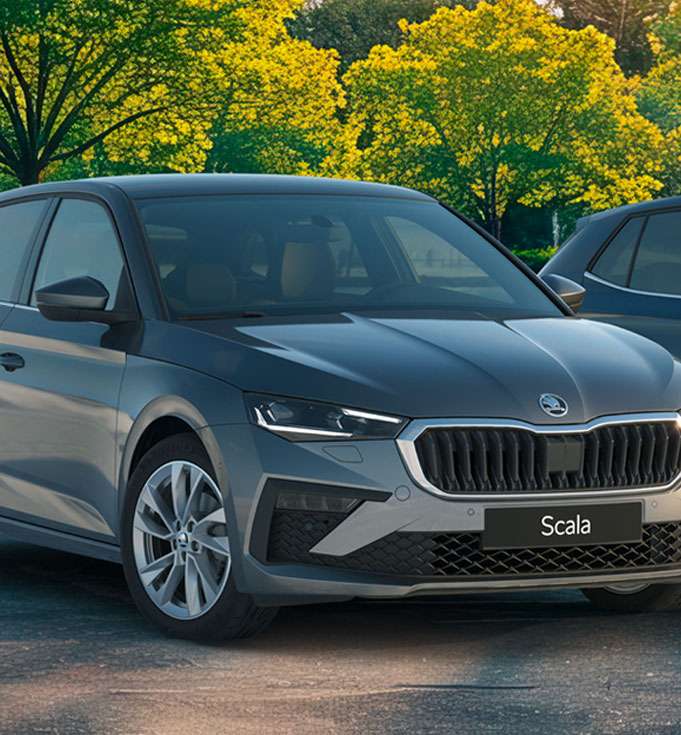 Vuelven los Škoda Days