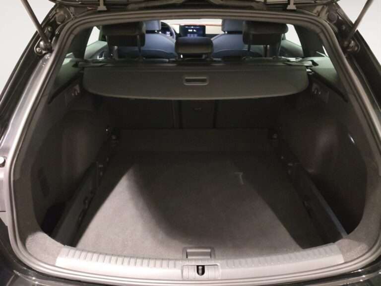 3341MPL_6_trunk-straight_0_final