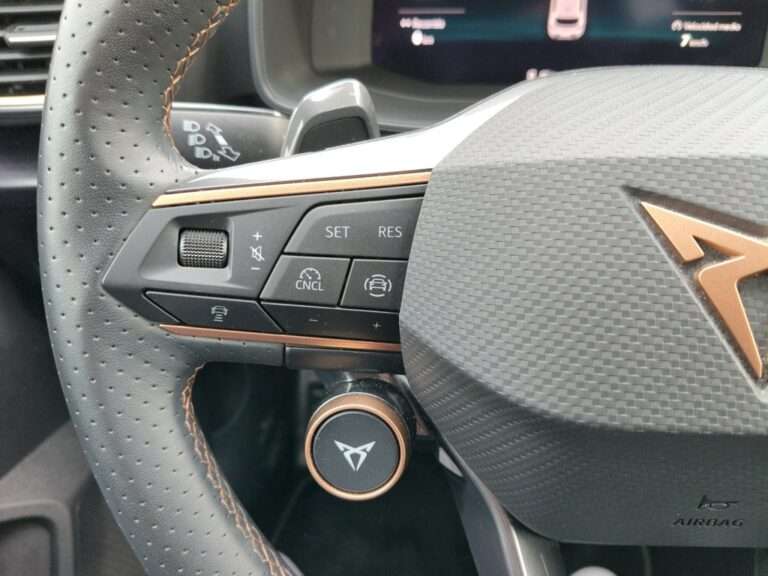 0862MWL_10_multifunction-steering-wheel-left_0_final