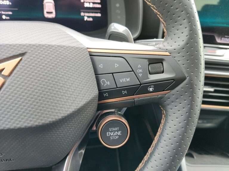 0862MWL_9_multifunction-steering-wheel-right_0_final