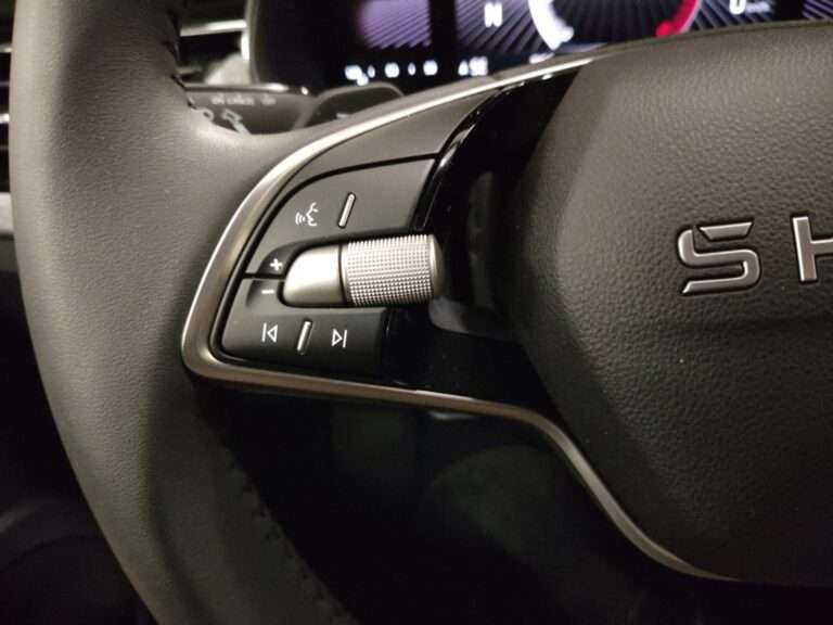 1639NFN_10_multifunction-steering-wheel-left_0_final