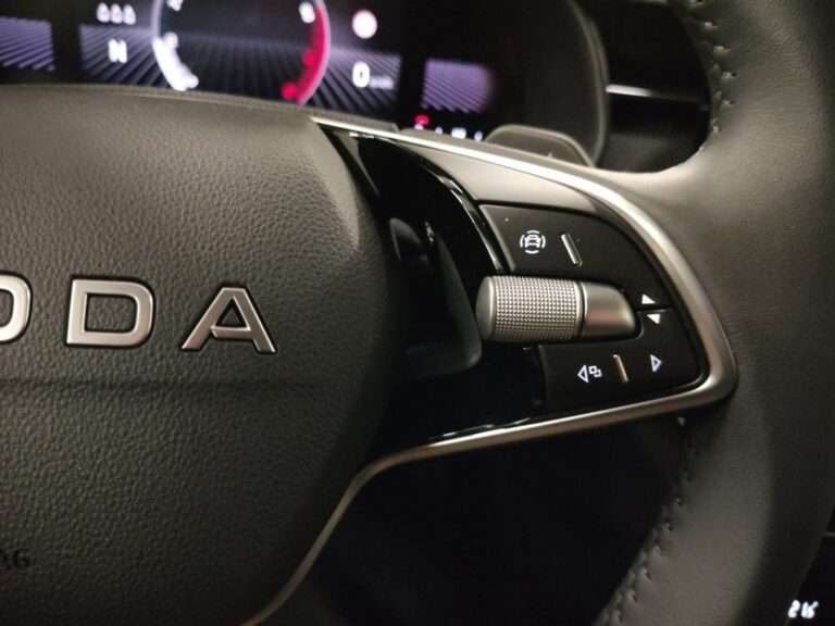 1639NFN_9_multifunction-steering-wheel-right_0_final