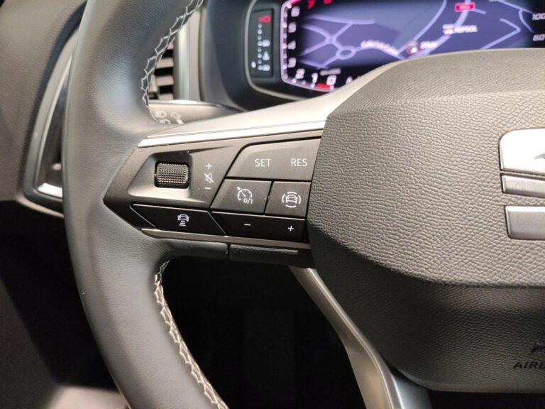2160MYY_10_multifunction-steering-wheel-left_0_final