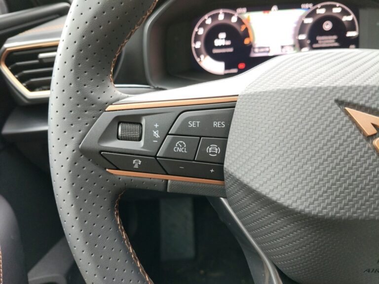 7654NHB_10_multifunction-steering-wheel-left_0_final