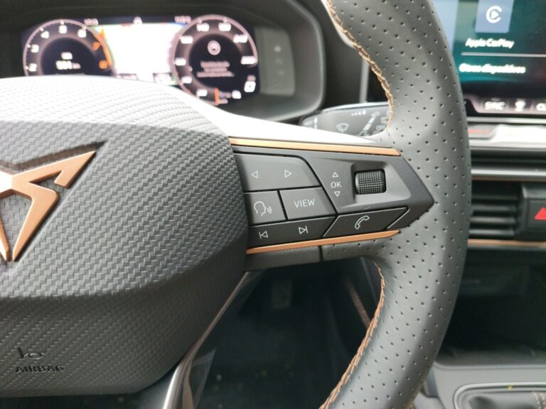 7654NHB_9_multifunction-steering-wheel-right_0_final