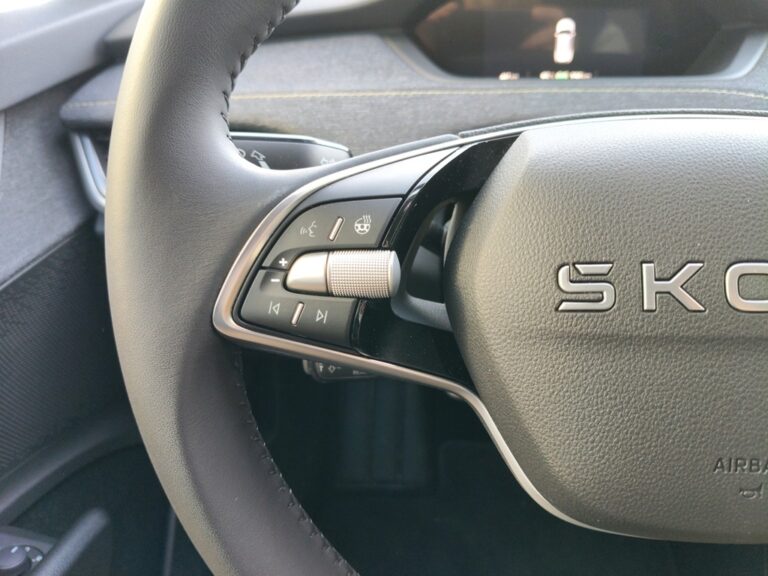 0126NKZ_10_multifunction-steering-wheel-left_0_final