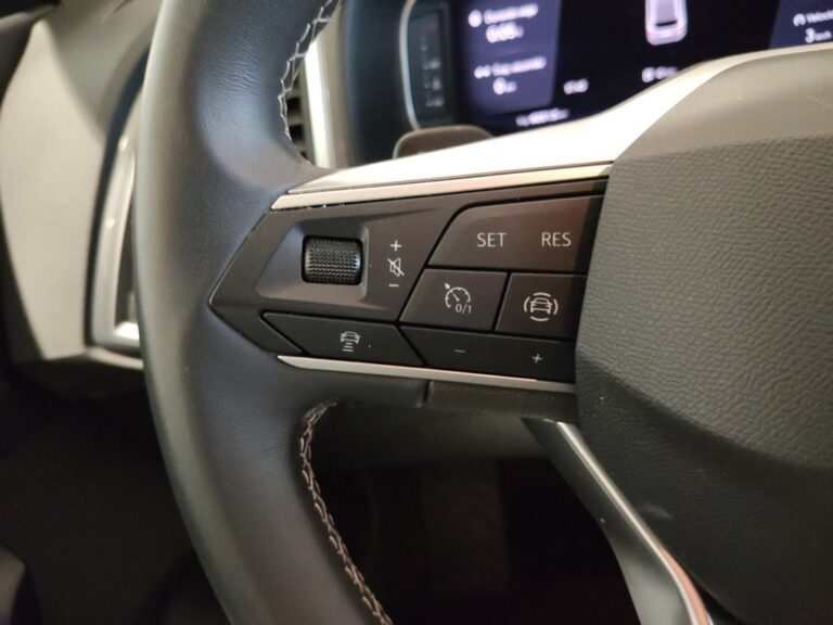 7211NDG_10_multifunction-steering-wheel-left_0_final