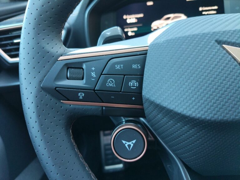 2143NKZ_10_multifunction-steering-wheel-left_0_final