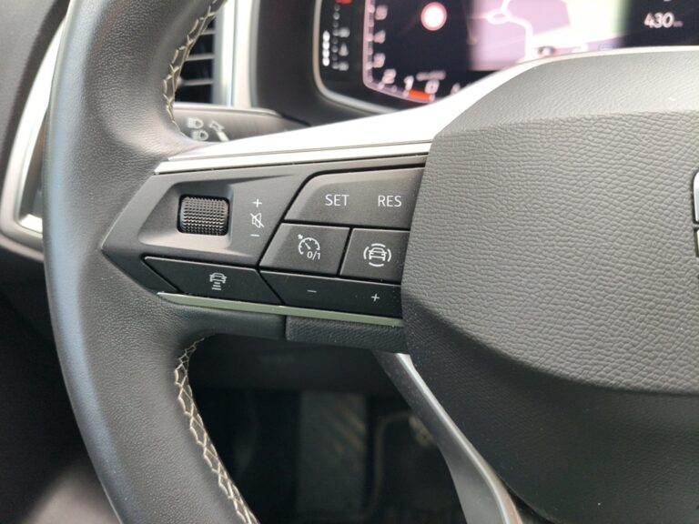 0348MCP_10_multifunction-steering-wheel-left_0_final