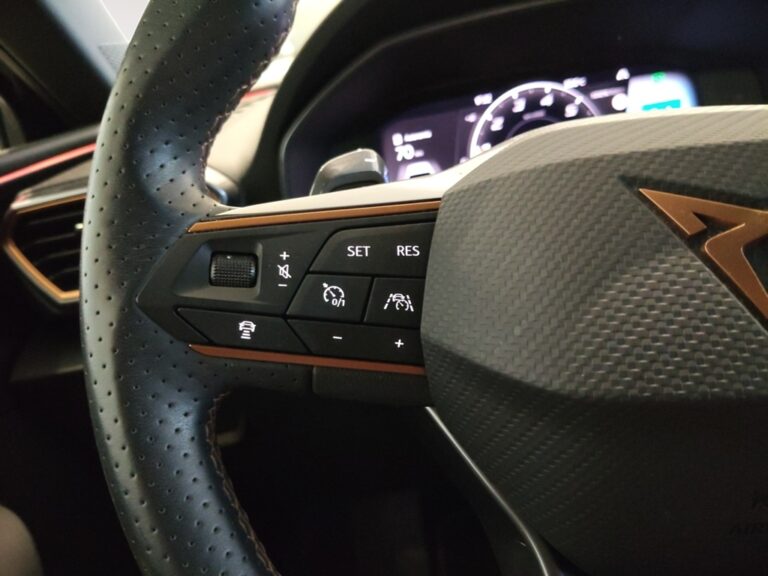 0902MHW_10_multifunction-steering-wheel-left_0_final
