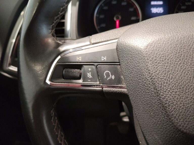 6282LDY_10_multifunction-steering-wheel-left_0_final
