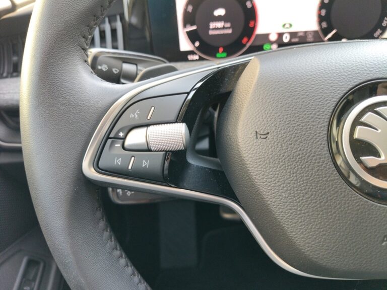 8234NCX_10_multifunction-steering-wheel-left_0_final