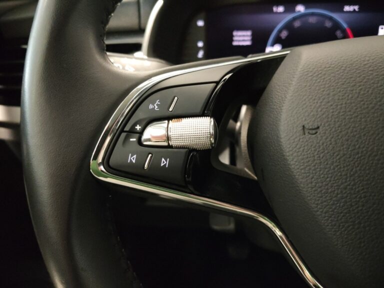 9081LXF_10_multifunction-steering-wheel-left_0_final