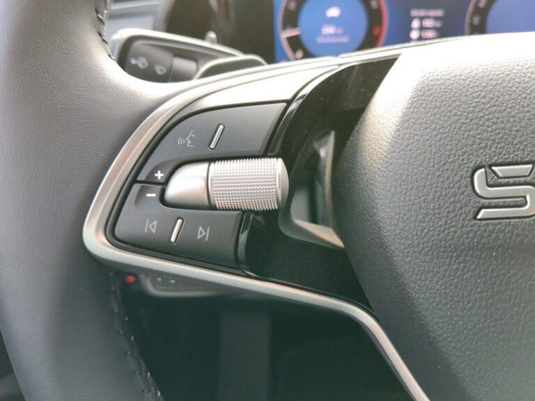 8407NKW_10_multifunction-steering-wheel-left_0_final