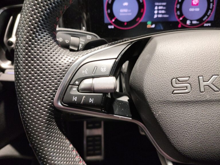 0411NDG_10_multifunction-steering-wheel-left_0_final