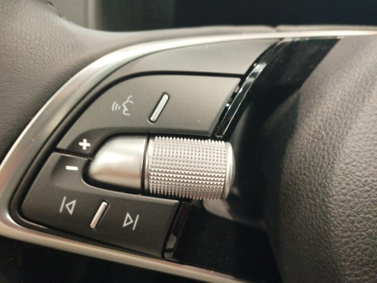 4298NNS_10_multifunction-steering-wheel-left_0_final