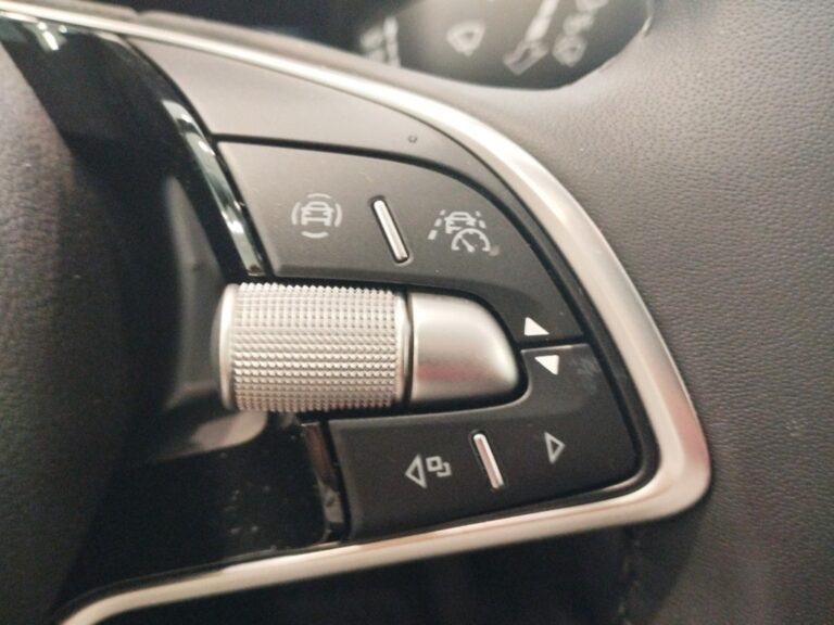 4298NNS_9_multifunction-steering-wheel-right_0_final