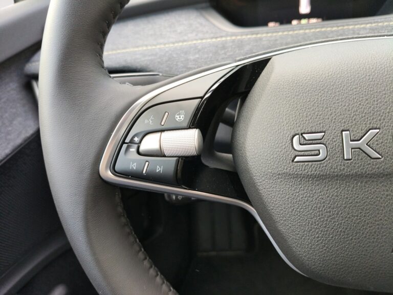 4418NPP_10_multifunction-steering-wheel-left_0_final