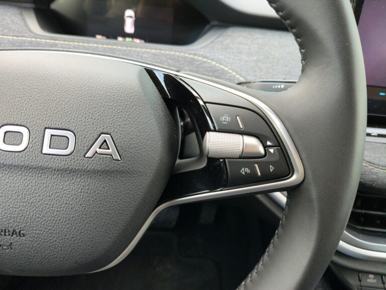4418NPP_9_multifunction-steering-wheel-right_0_final