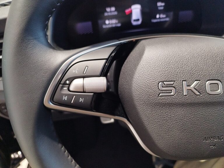 4810NPT_10_multifunction-steering-wheel-left_0_final