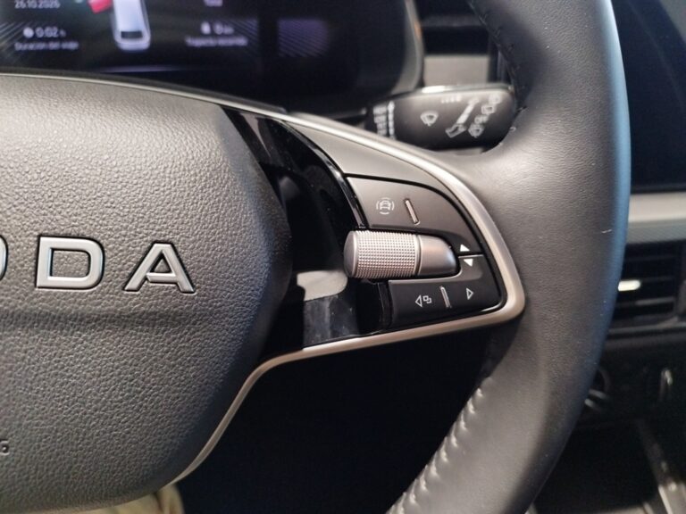 4810NPT_9_multifunction-steering-wheel-right_0_final