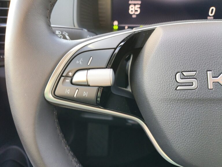 5881NBG_10_multifunction-steering-wheel-left_0_final